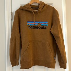 Patagonia Hooded Sweatshirt, Medium